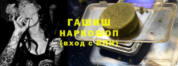 твердый Бородино