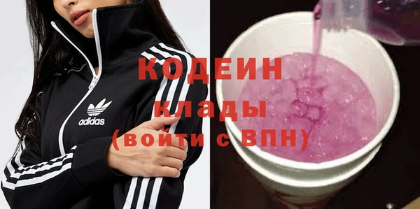 твердый Бородино