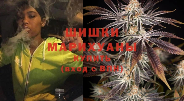 твердый Бородино