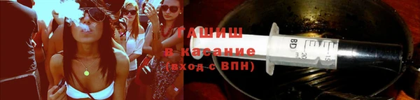 твердый Бородино