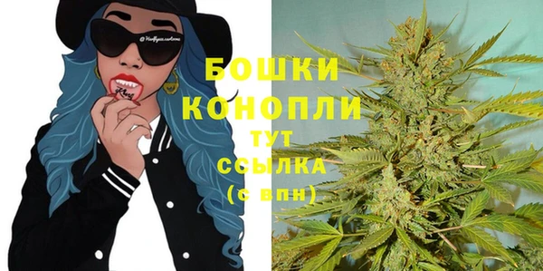 твердый Бородино