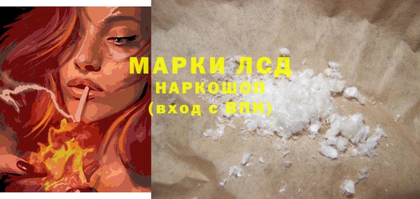 твердый Бородино